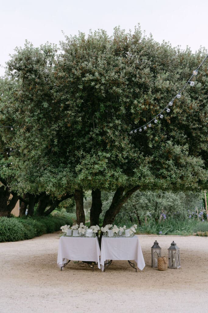 photographe-mariage-provence-mas-rose-0070